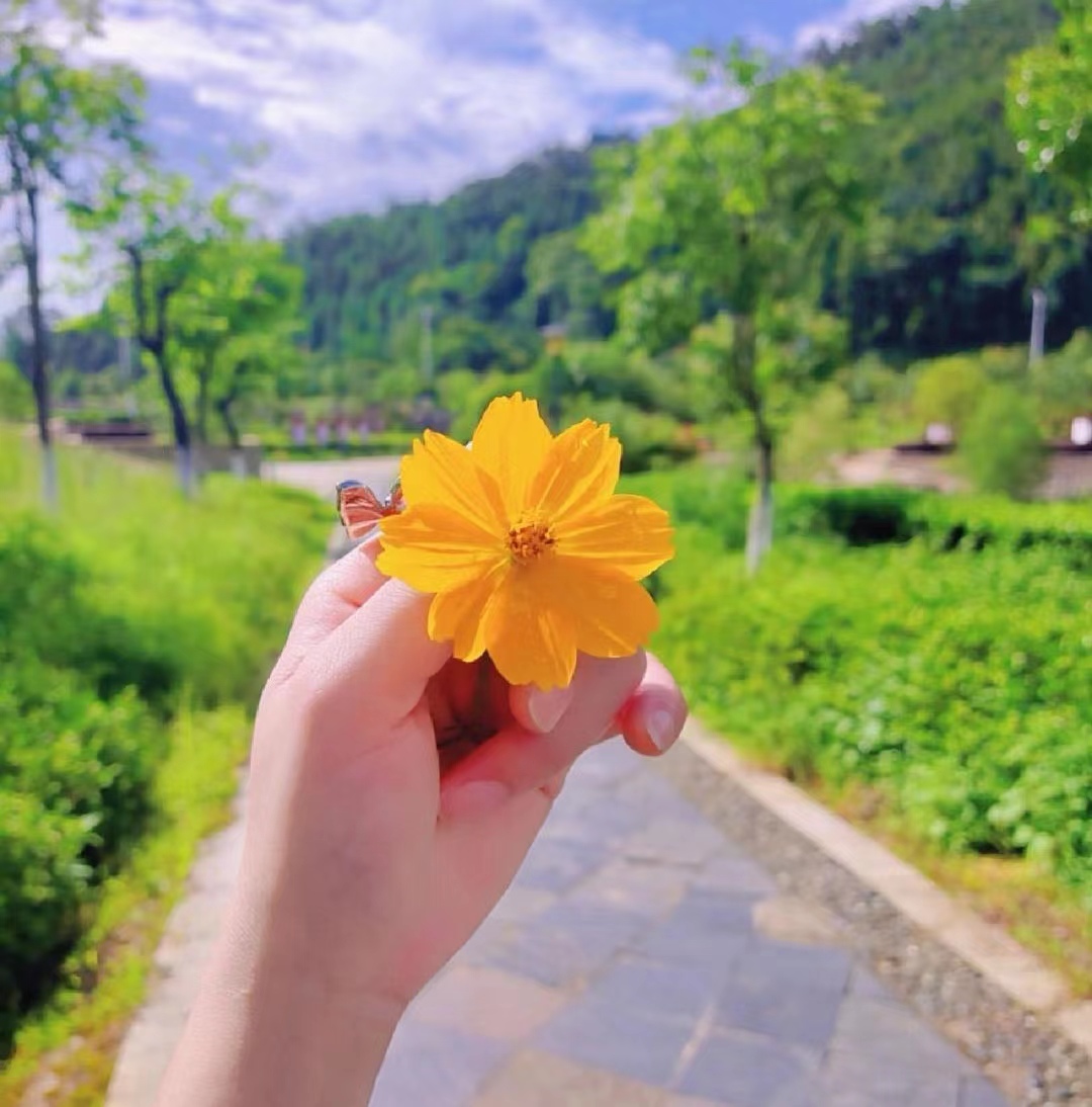 深圳侦探调查